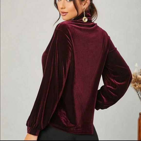Burgundy Velour Blouse - Picture 3 of 5